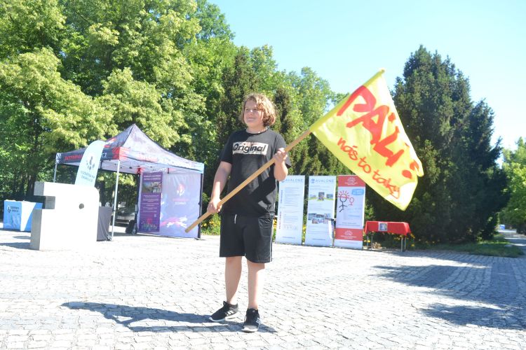 beh wg plzen